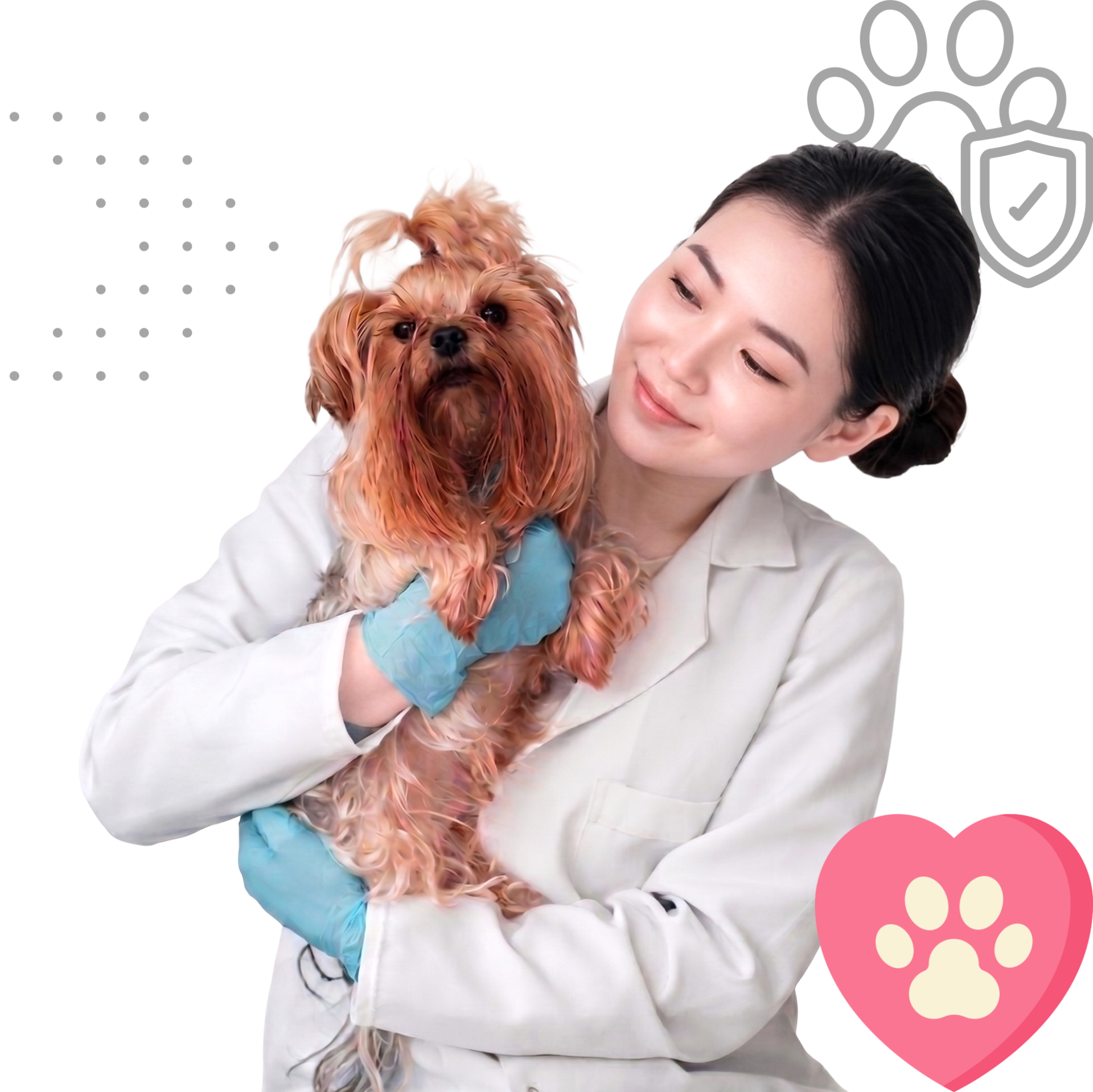 Phòng khám thú y LifePet