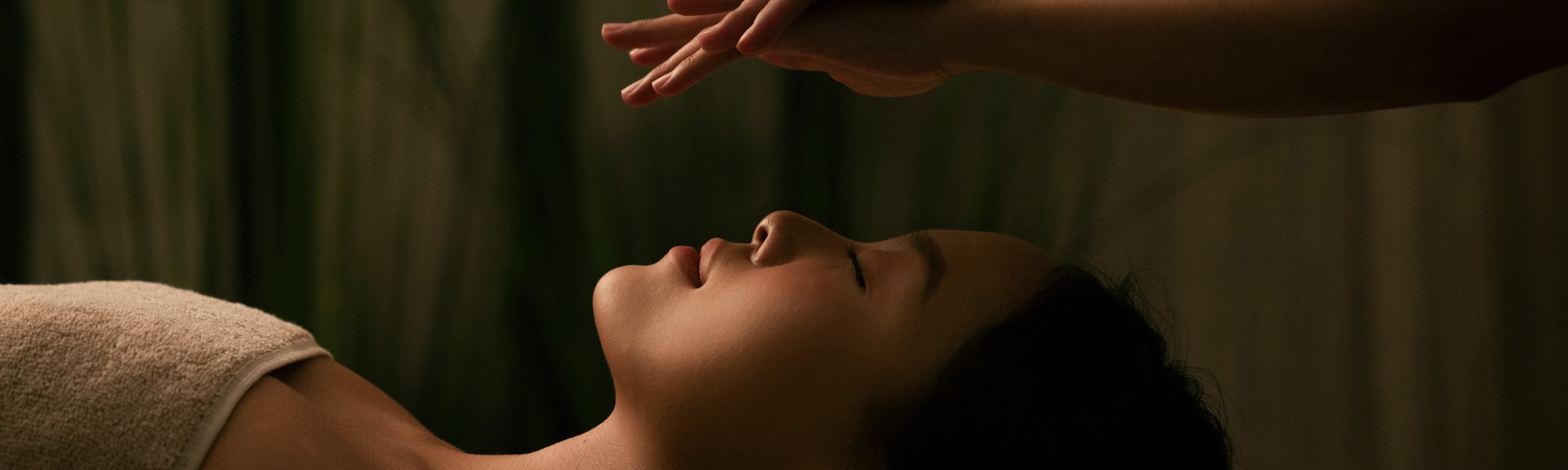 Phục hồi năng lượng, <br> nuôi dưỡng sức khỏe tự nhiên