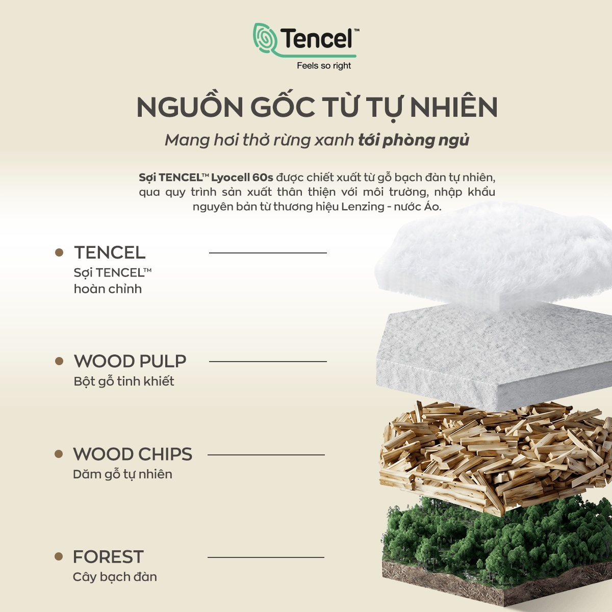 Bộ ga chun Amando Wellness Tencel Luxe Họa Tiết 4CT - Tencel 60S tinh tế