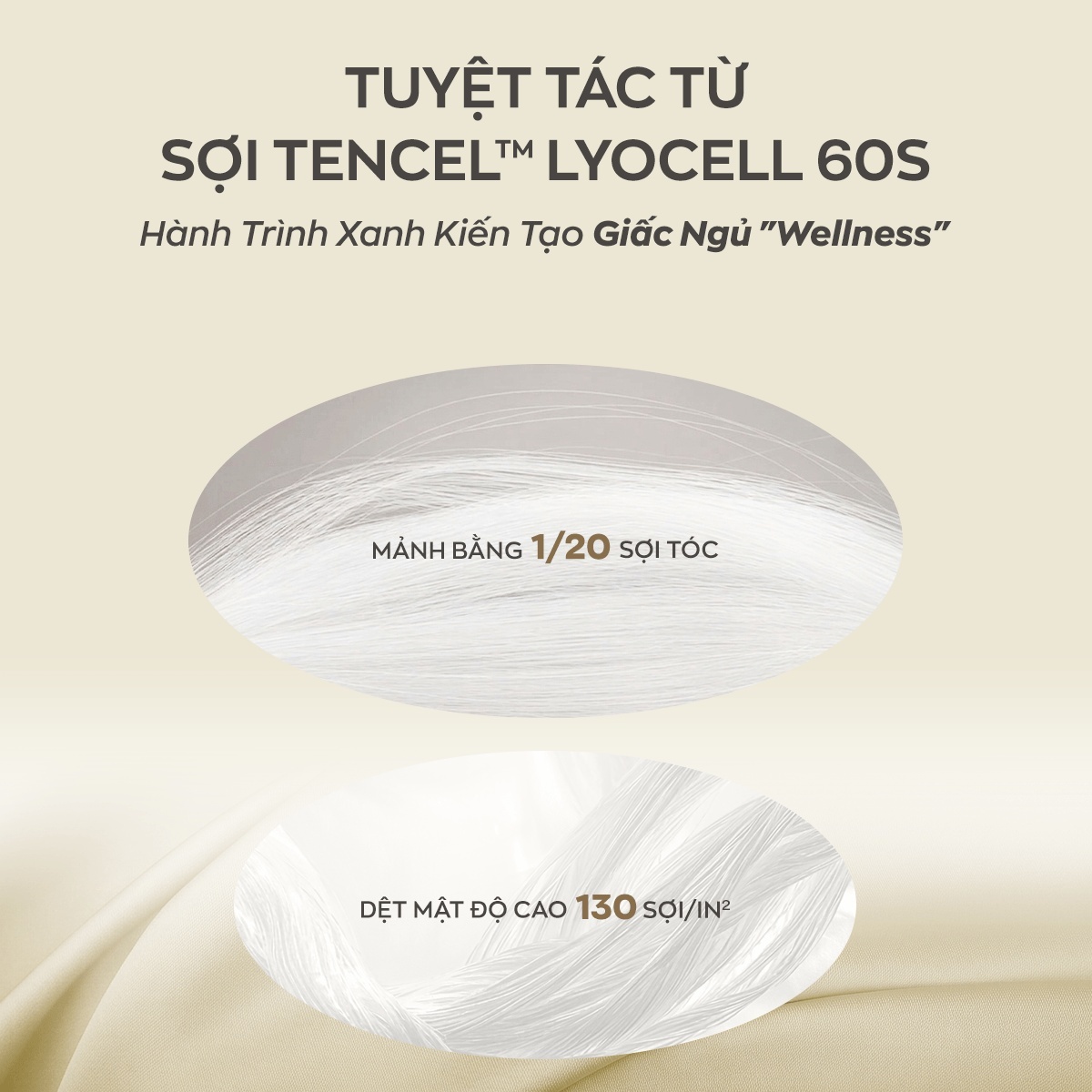 Bộ ga chun Amando Wellness Tencel Luxe Họa Tiết 4CT - Tencel 60S tinh tế