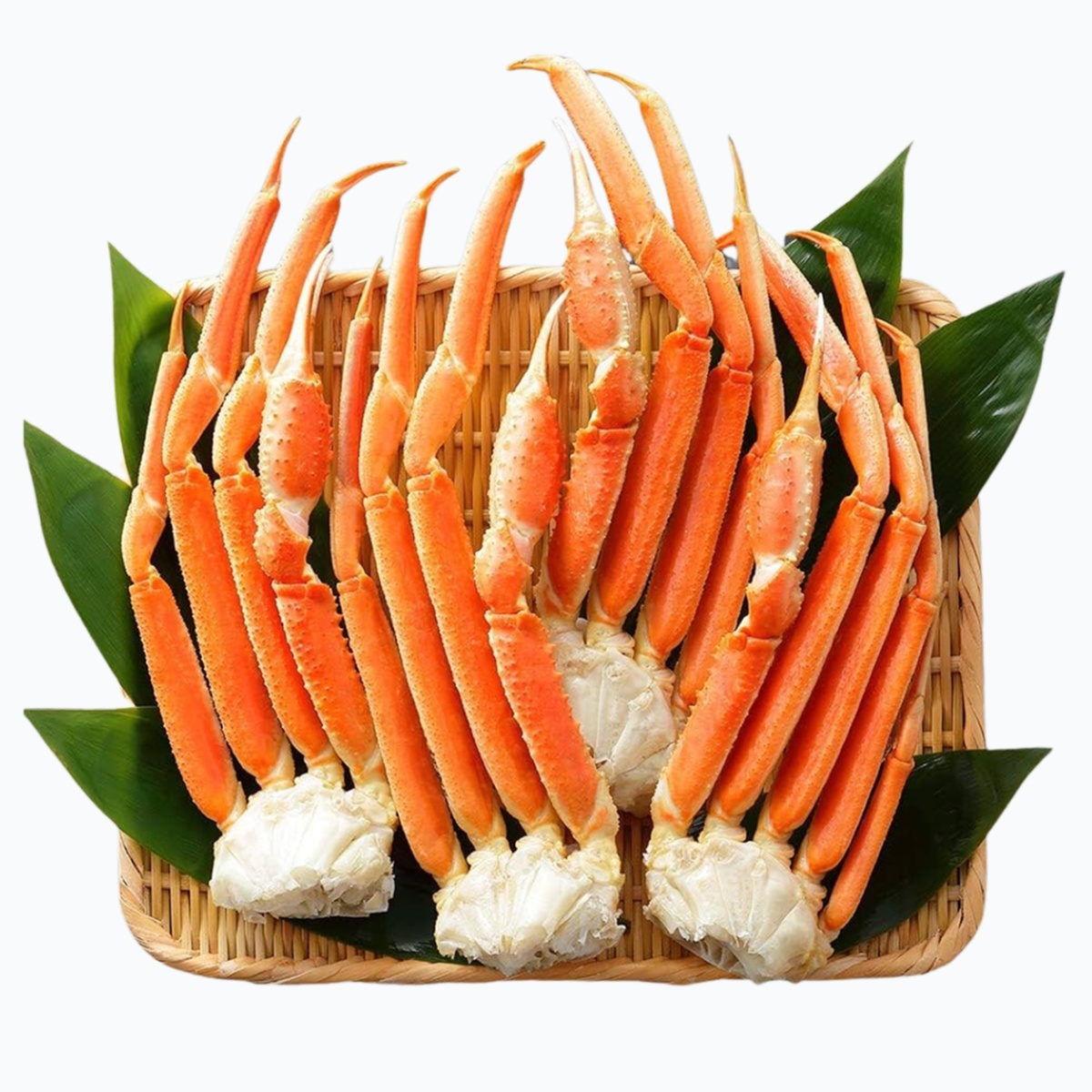 Chân Cua Tuyết