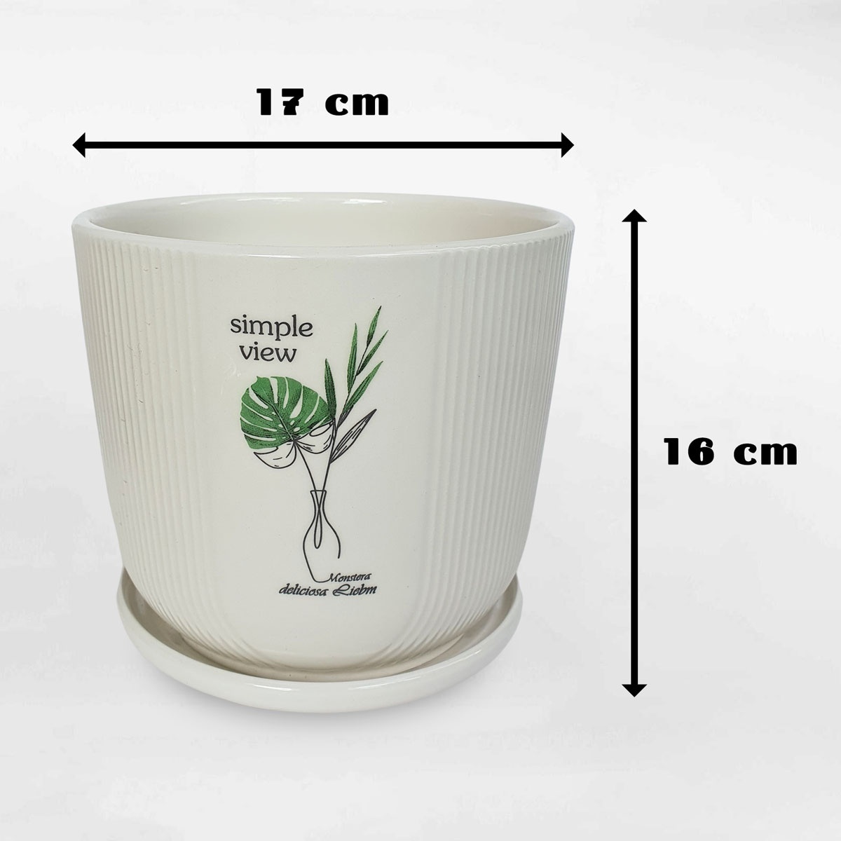 Chậu gốm sứ họa tiết lá Monstera có dĩa GOSU057