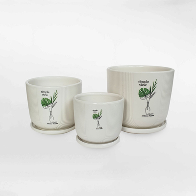 Chậu gốm sứ họa tiết lá Monstera có dĩa GOSU057