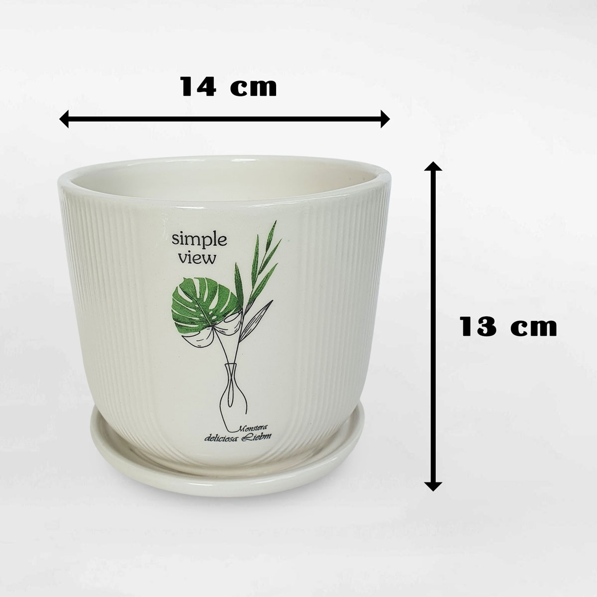 Chậu gốm sứ họa tiết lá Monstera có dĩa GOSU057