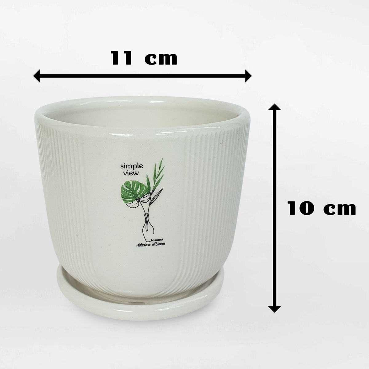 Chậu gốm sứ họa tiết lá Monstera có dĩa GOSU057