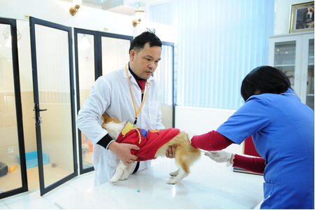Đề nghị không bãi bỏ điều kiện kinh doanh dịch vụ xét nghiệm, tiêm phòng, chữa bệnh động vật
