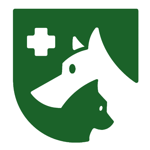 LifePet