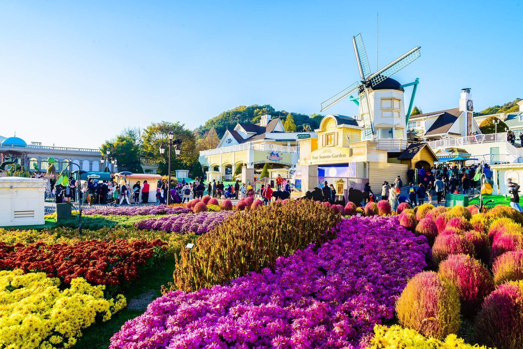 Hàn Quốc (Seoul - Busan - Trải Nghiệm Tàu Tốc Hành Ktx - Công Viên Everland - Thư Viện Starfield)