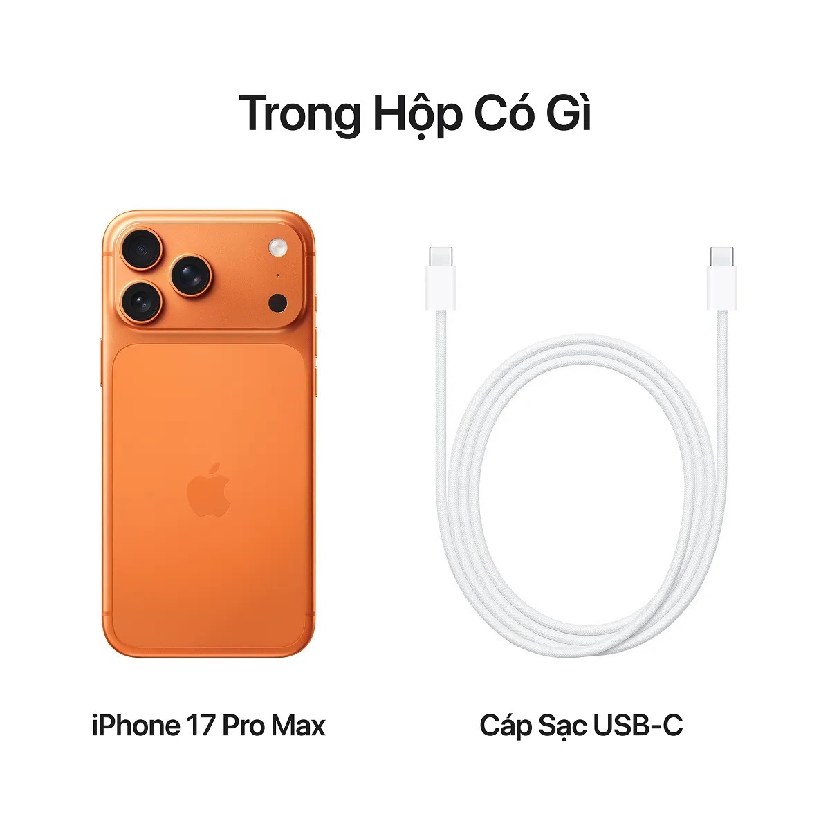 iPhone 17 Pro 1TB