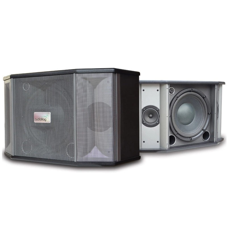 Loa karaoke AUDIOFROG M12F