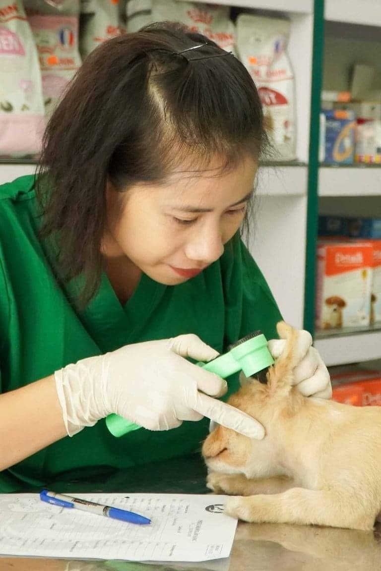 Phòng khám thú y LifePet