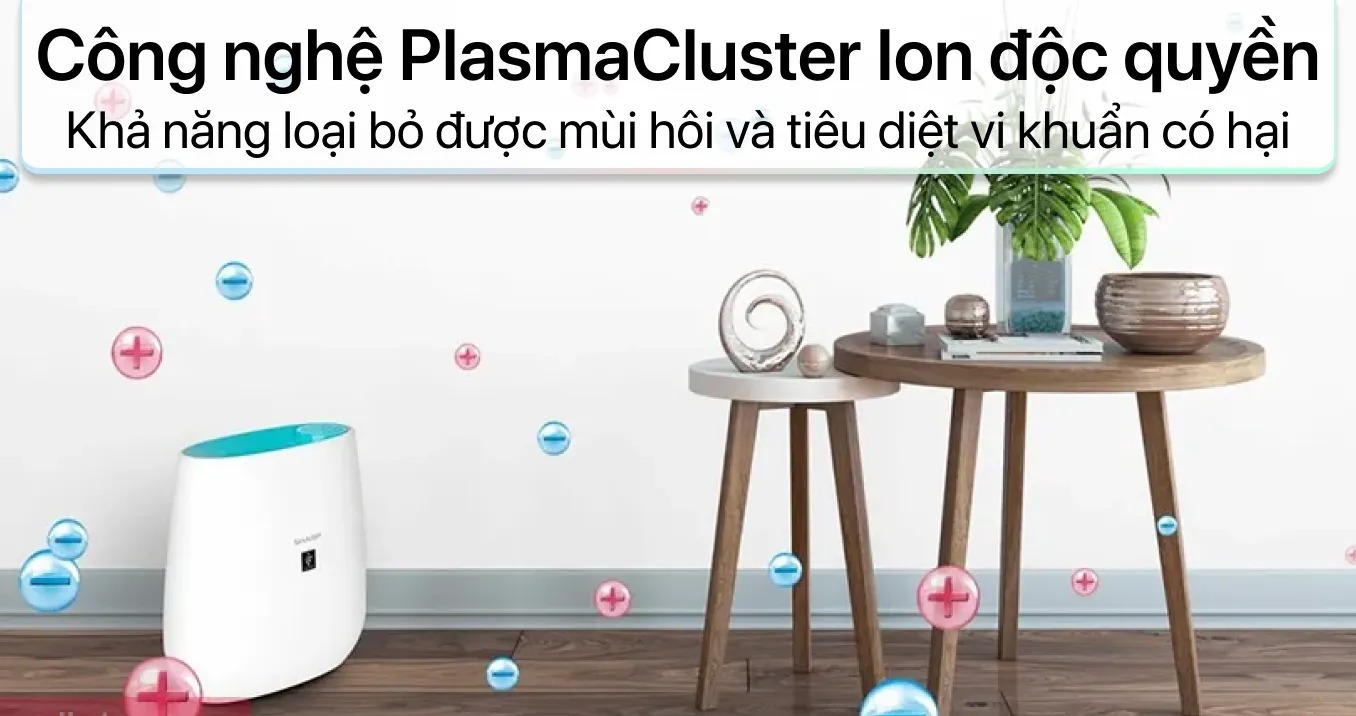 Máy lọc không khí Sharp FP-J30E-B