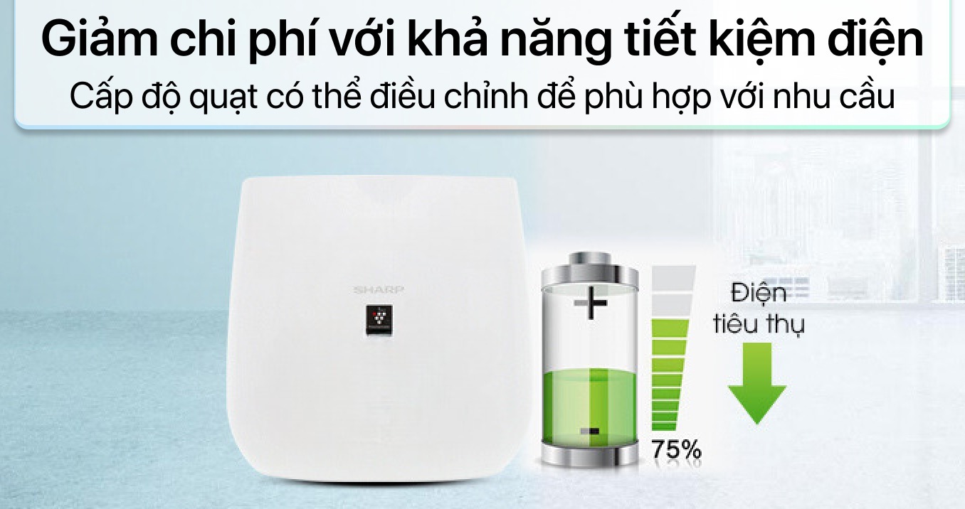 Máy lọc không khí Sharp FP-J30E-B
