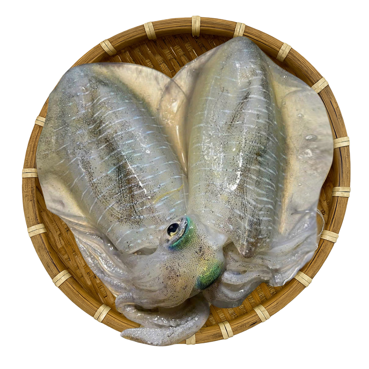 Mực