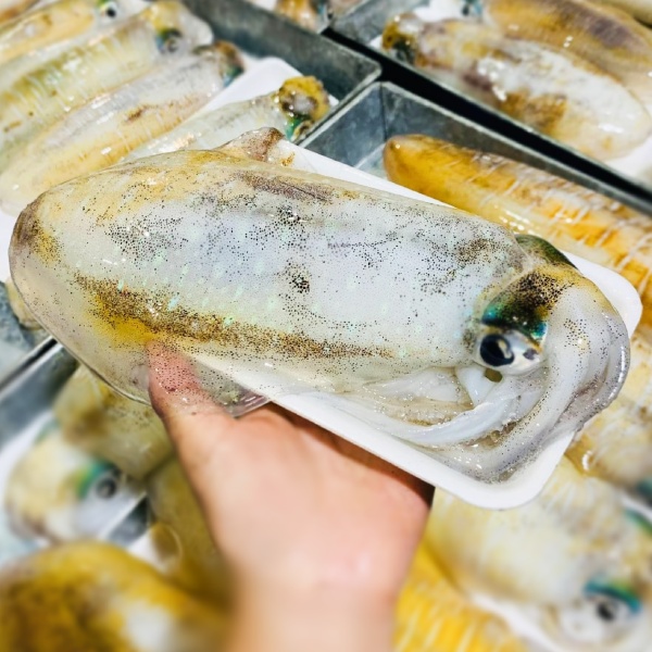 Mực Lá 300-500g