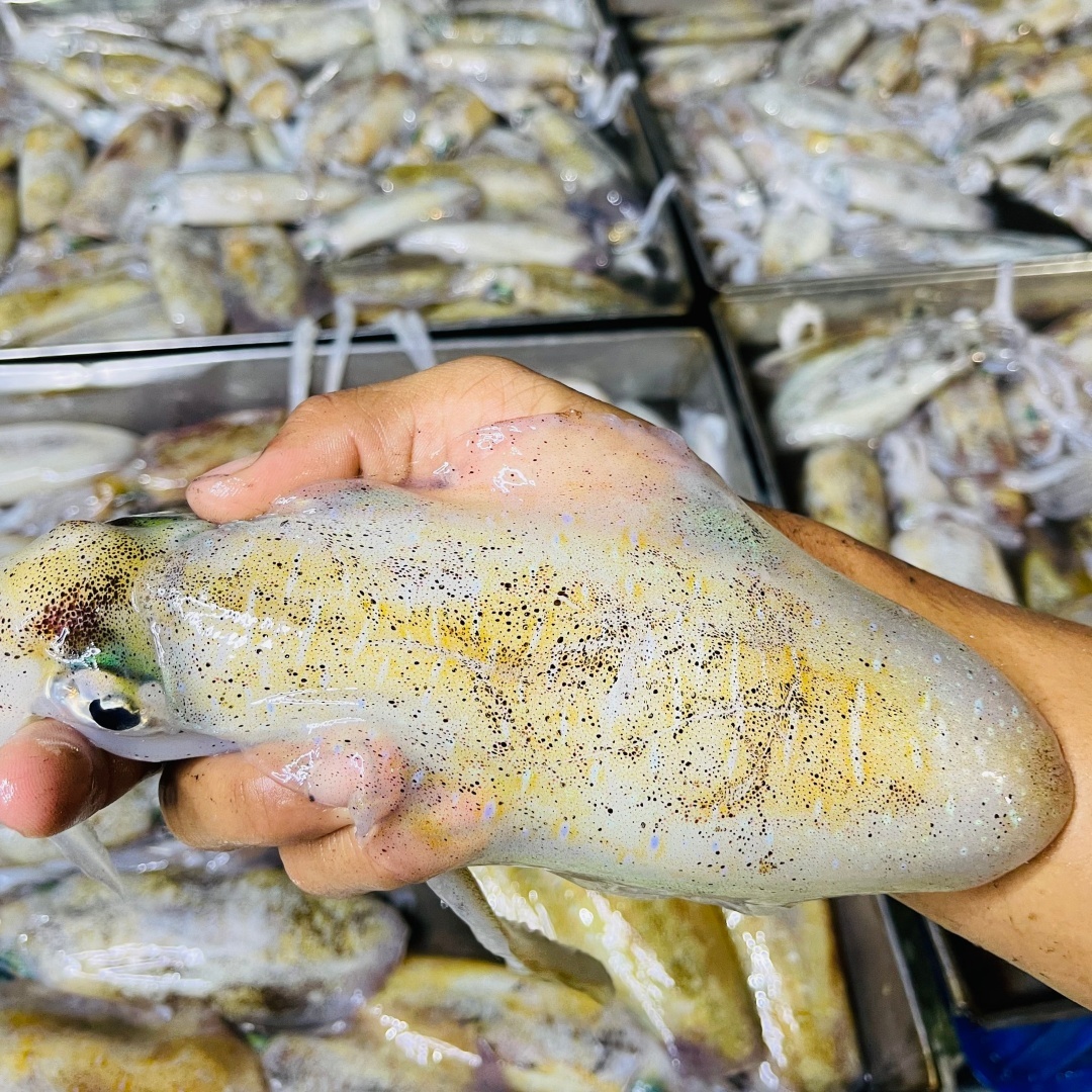 Mực Lá 300-500g