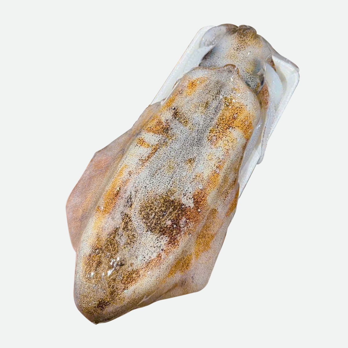 Mực Lá 300-500g