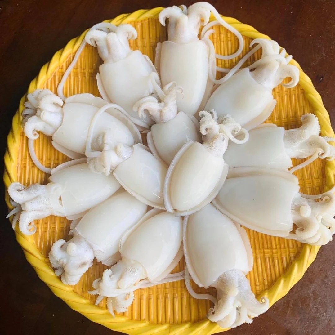 Mực Nang Sữa