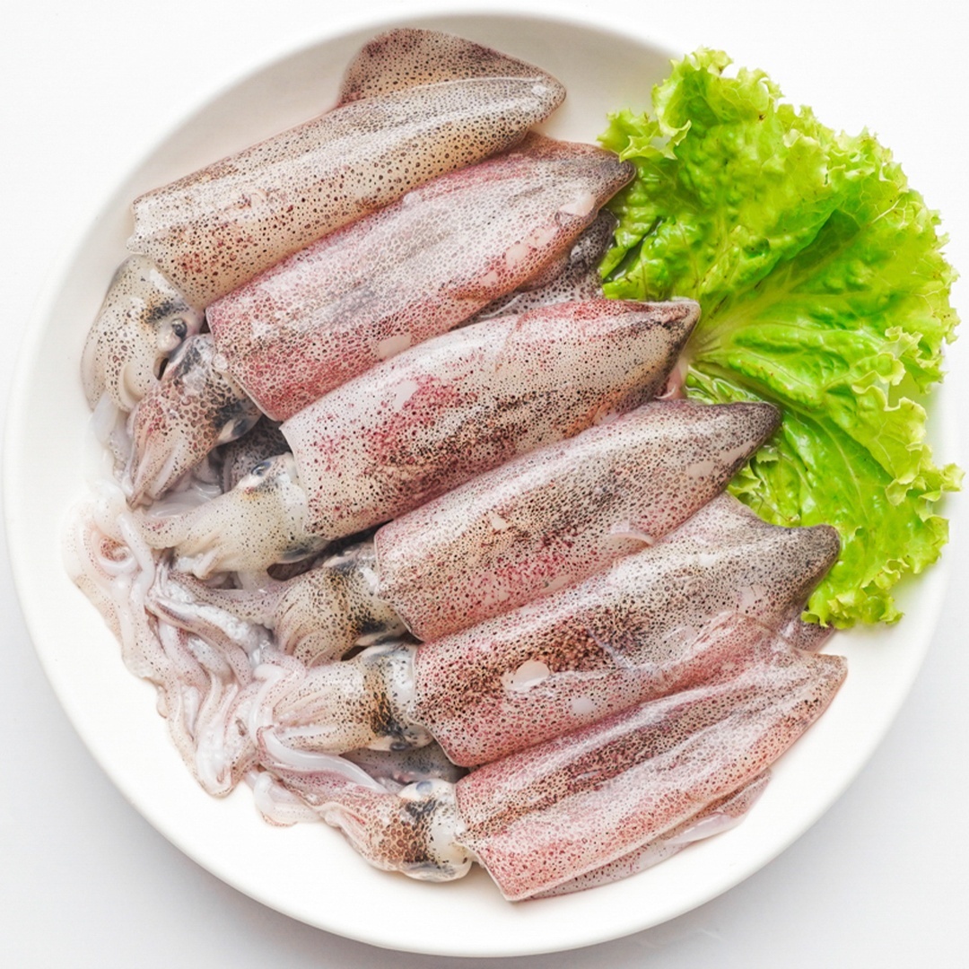 Mực Sữa
