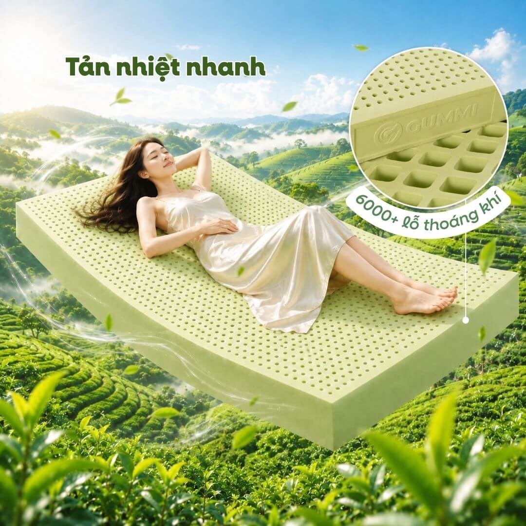Nệm Gummi Signature – Công nghệ kép, nâng đỡ vượt trội, kháng khuẩn tối đa