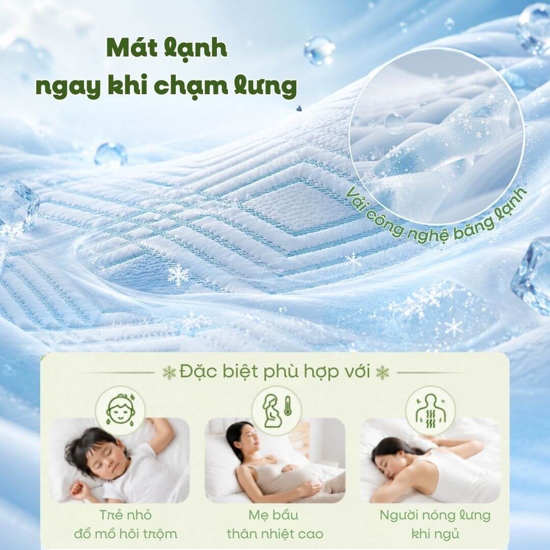 Nệm Gummi Signature – Công nghệ kép, nâng đỡ vượt trội, kháng khuẩn tối đa