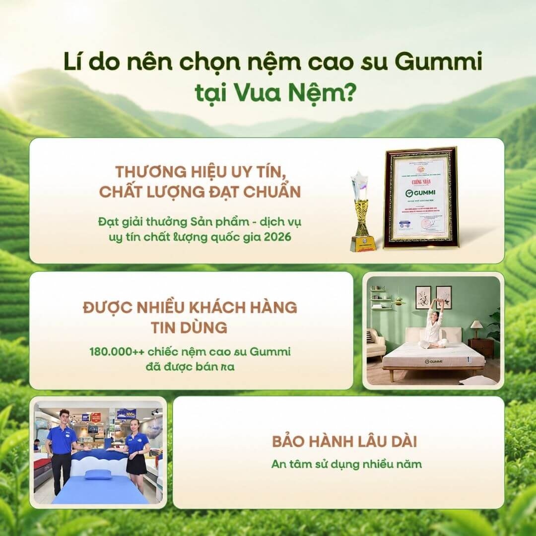 Nệm Gummi Signature – Công nghệ kép, nâng đỡ vượt trội, kháng khuẩn tối đa