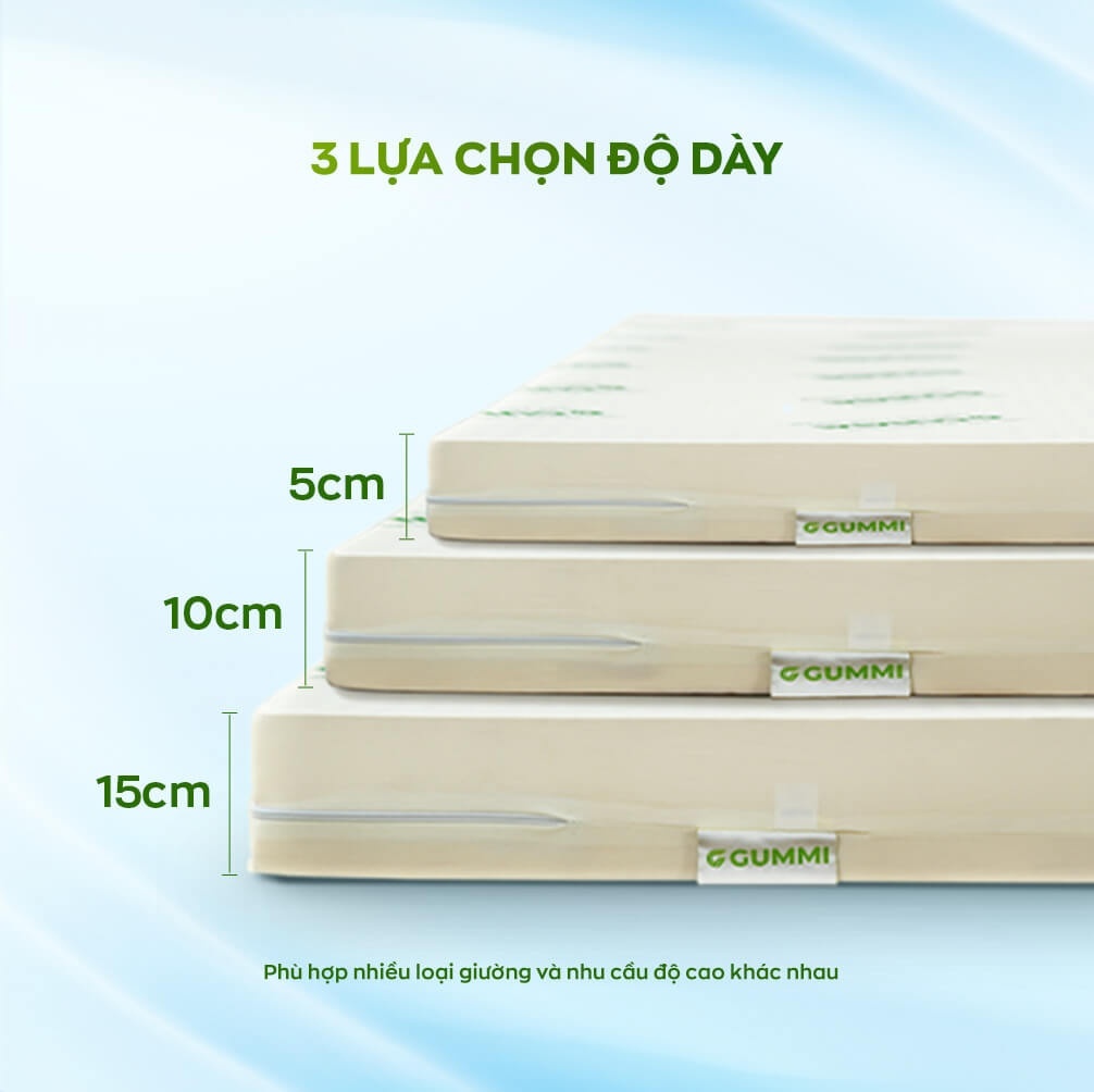 (Quà 8 món) Nệm cao su thiên nhiên Gummi Classic thế hệ mới dày 5/10/15cm