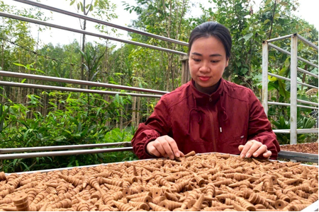 Thủ phủ chế tác trầm hương ở Hà Tĩnh sôi động ngày cận Tết Nguyên đán