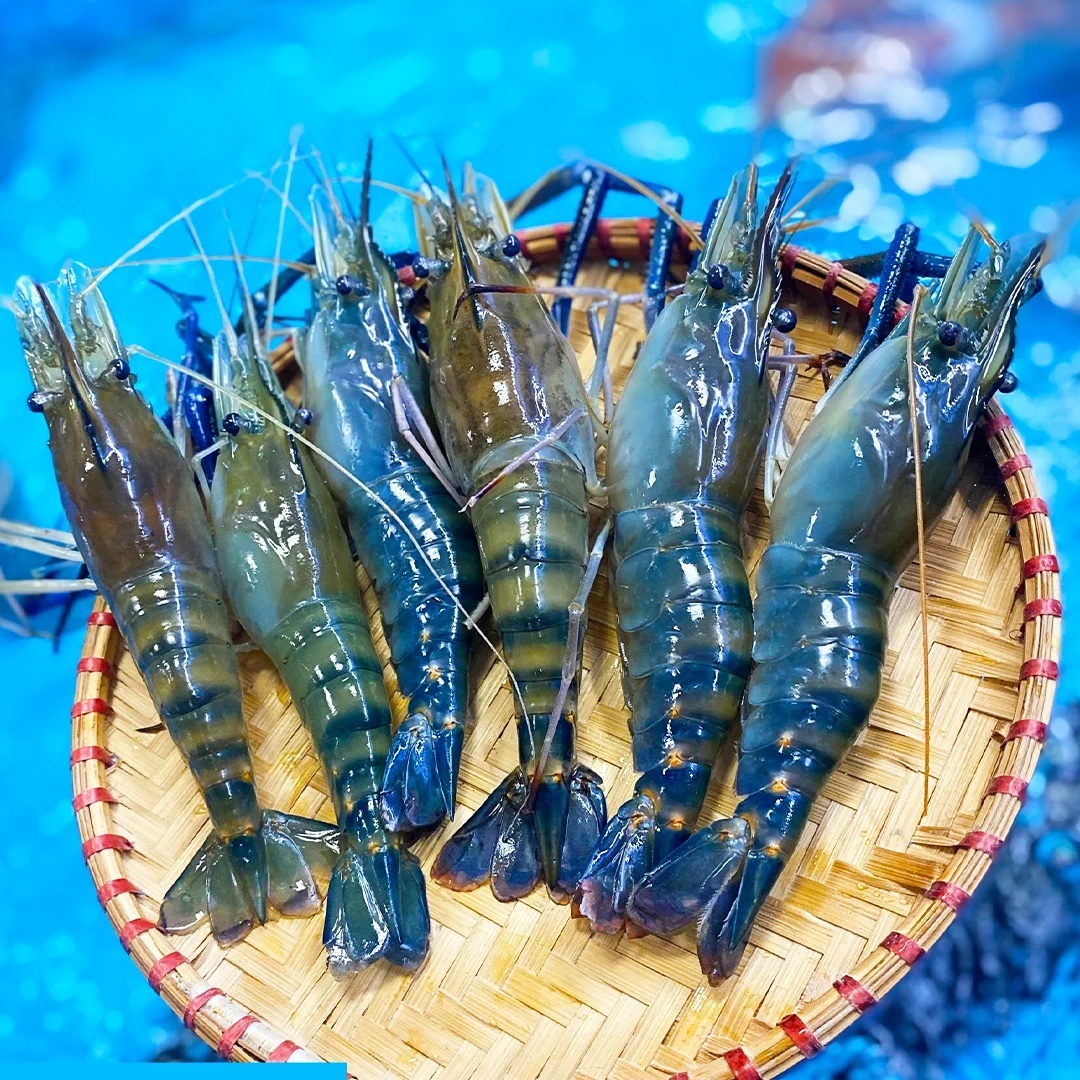 Tôm Càng Xanh Đông Lạnh