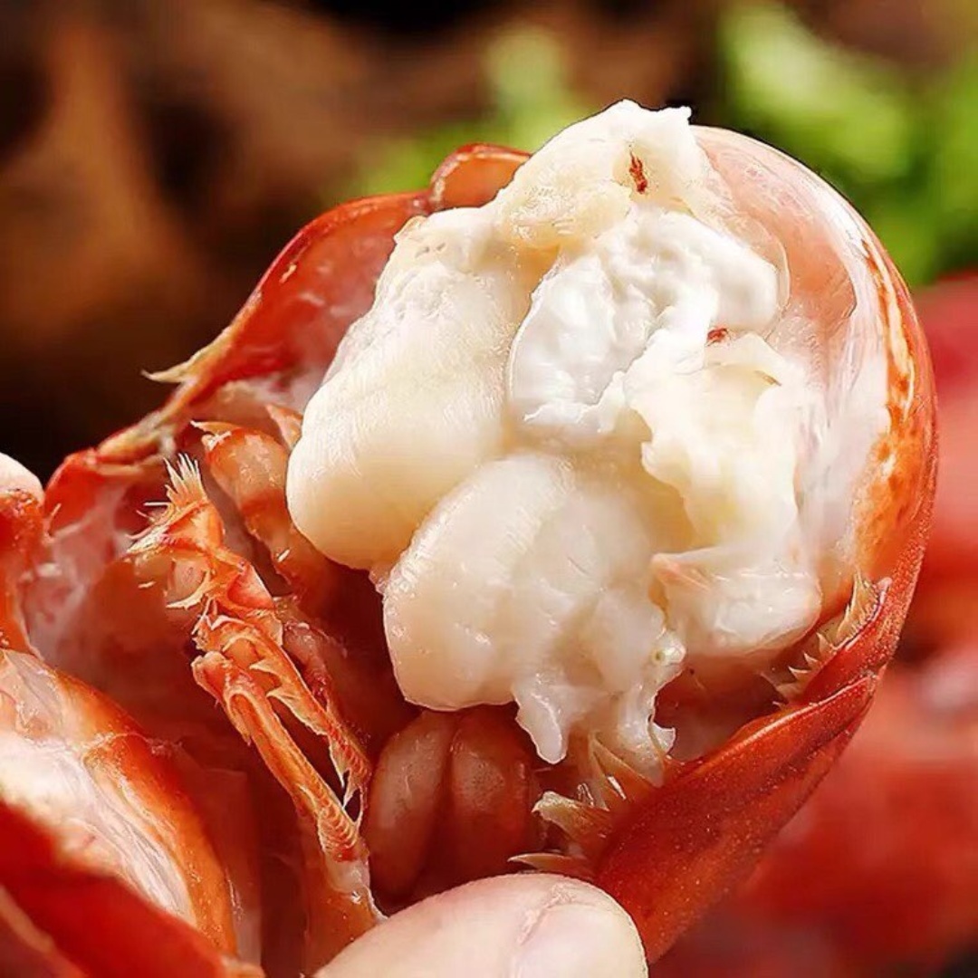 Tôm Hùm Alaska Sống Lớn