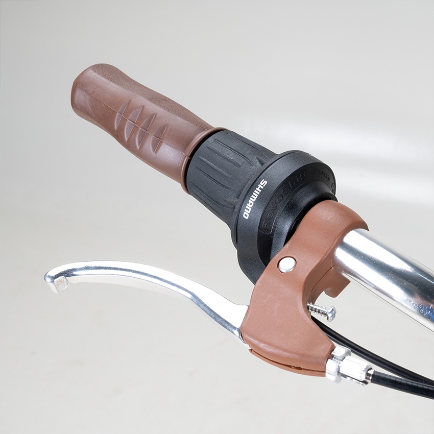 Xe Đạp Đường Phố Touring RAPTOR Mocha 1B - Bánh 24 Inches