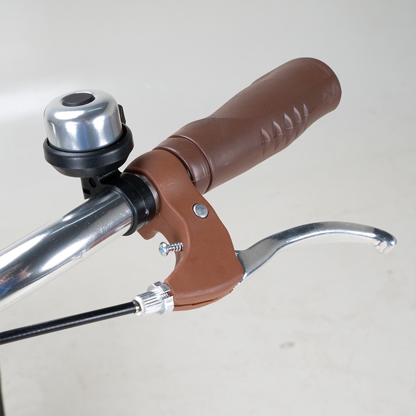 Xe Đạp Đường Phố Touring RAPTOR Mocha 1B - Bánh 24 Inches