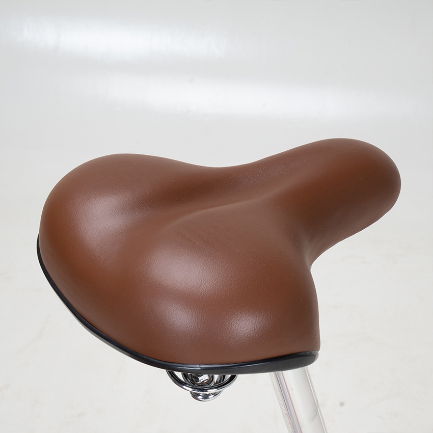 Xe Đạp Đường Phố Touring RAPTOR Mocha 1B - Bánh 24 Inches