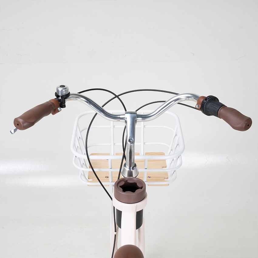 Xe Đạp Đường Phố Touring RAPTOR Mocha 1B - Bánh 24 Inches
