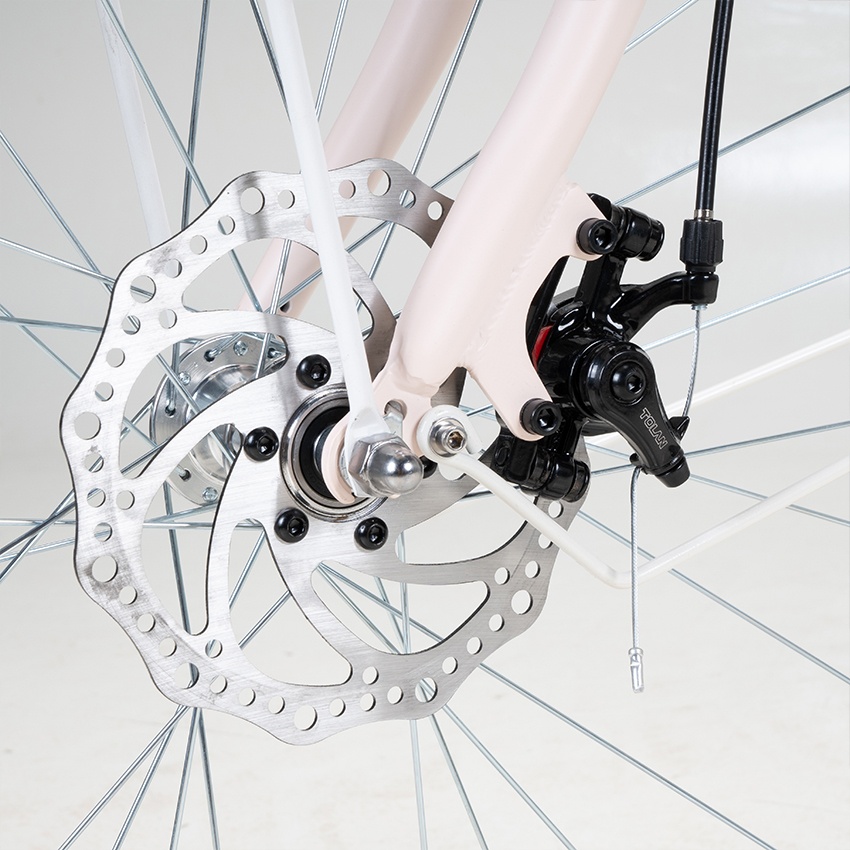 Xe Đạp Đường Phố Touring RAPTOR Mocha 1B - Bánh 24 Inches