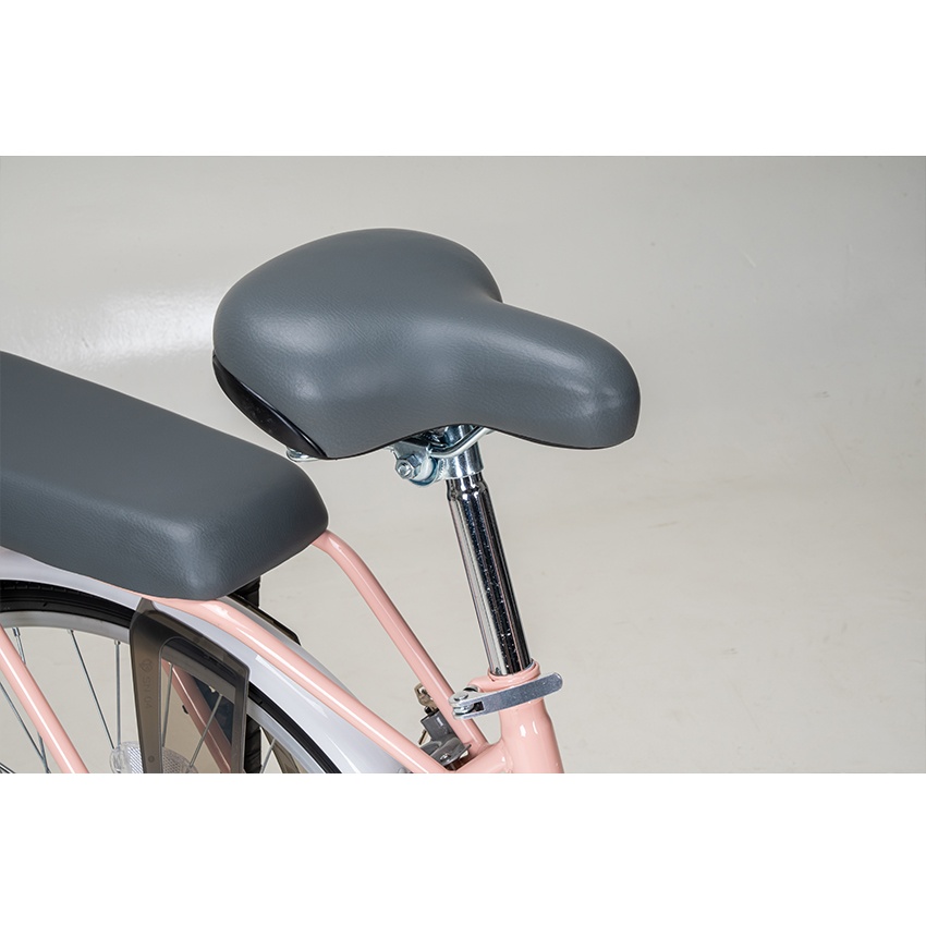 Xe Đạp Đường Phố Youth RAPTOR Eva 3 - Bánh 24 Inch