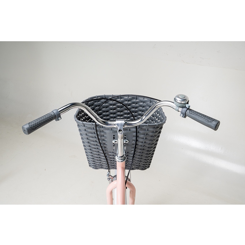 Xe Đạp Đường Phố Youth RAPTOR Eva 3 - Bánh 24 Inch