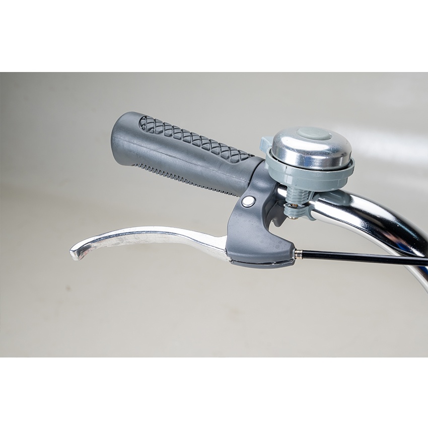 Xe Đạp Đường Phố Youth RAPTOR Eva 3 - Bánh 24 Inch