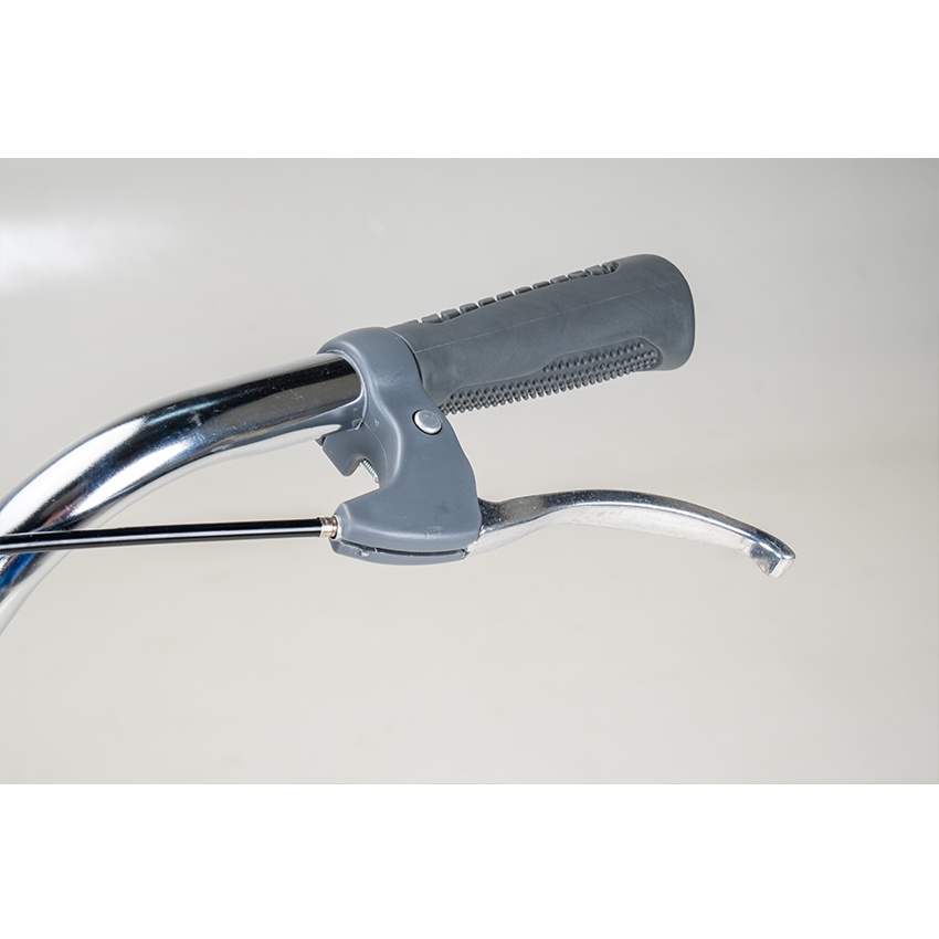 Xe Đạp Đường Phố Youth RAPTOR Eva 3 - Bánh 24 Inch