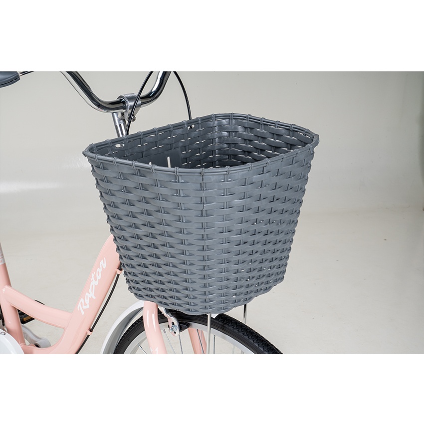 Xe Đạp Đường Phố Youth RAPTOR Eva 3 - Bánh 24 Inch