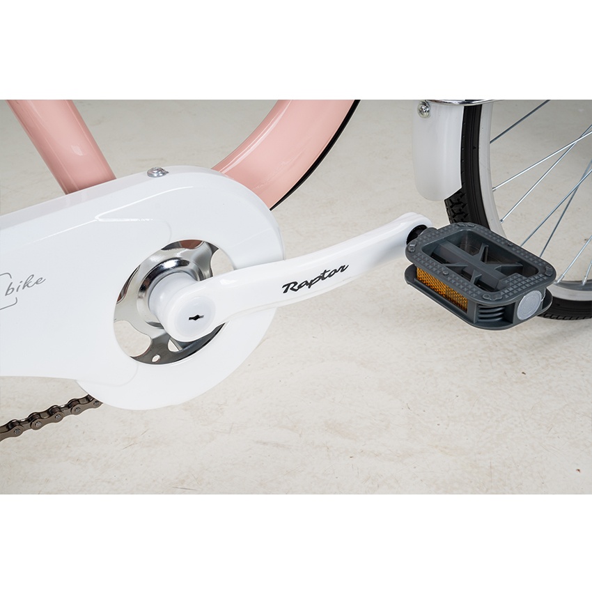 Xe Đạp Đường Phố Youth RAPTOR Eva 3 - Bánh 24 Inch