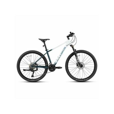Xe đạp MTB đa dụng Rockbros MT300