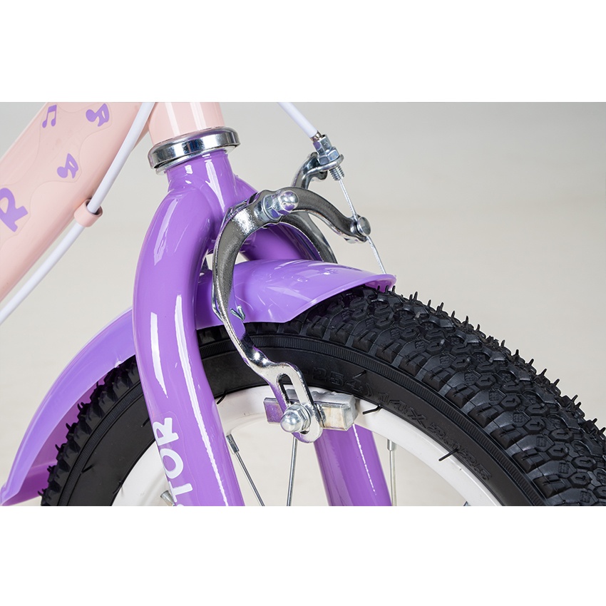 Xe Đạp Trẻ Em Youth RAPTOR Elsa 1 - Bánh 12 Inch
