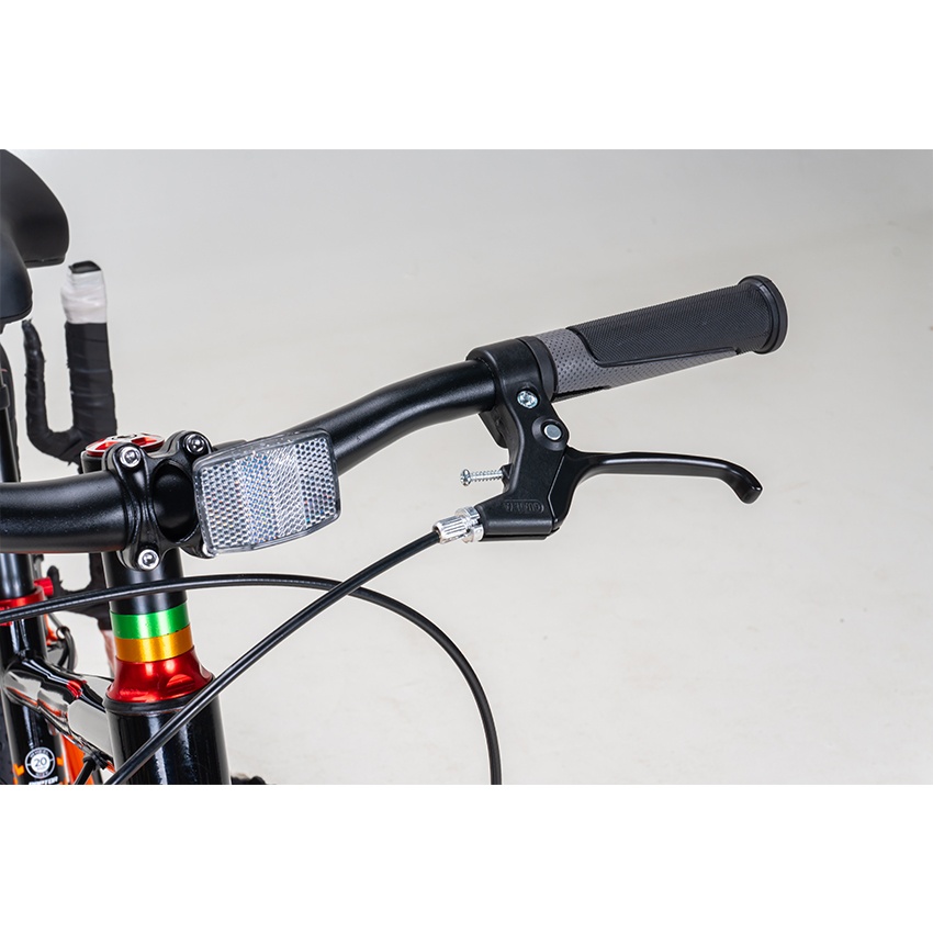 Xe Đạp Trẻ Em Youth RAPTOR Hola 20 - Phanh Đĩa, Bánh 20 Inches
