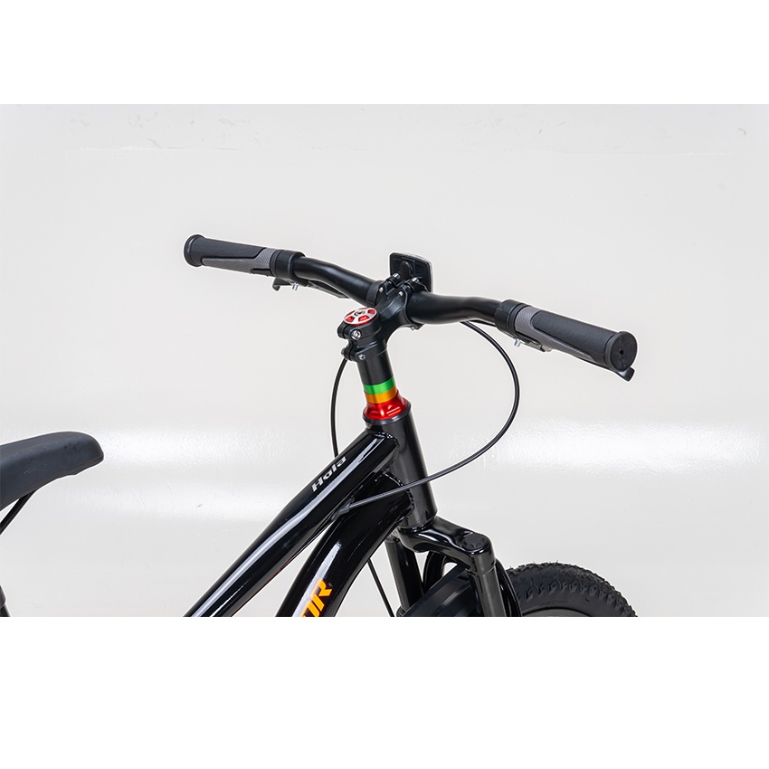 Xe Đạp Trẻ Em Youth RAPTOR Hola 20 - Phanh Đĩa, Bánh 20 Inches