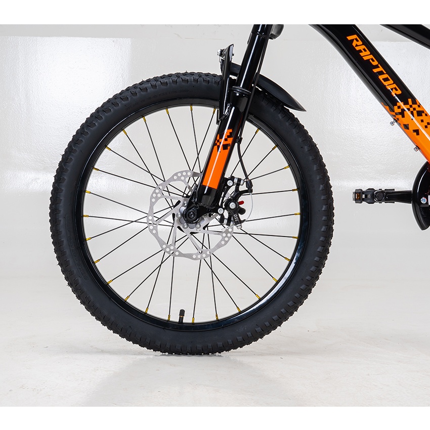 Xe Đạp Trẻ Em Youth RAPTOR Hola 20 - Phanh Đĩa, Bánh 20 Inches