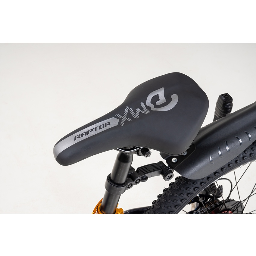 Xe Đạp Trẻ Em Youth RAPTOR Rock 2 - Bánh 20 Inch