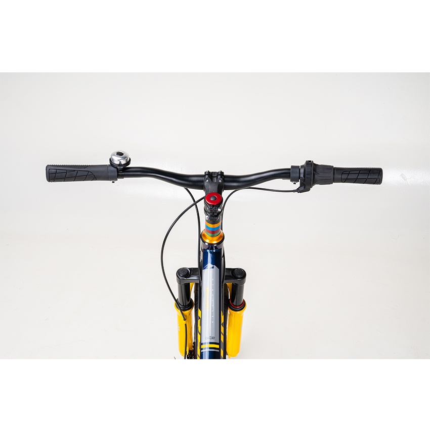 Xe Đạp Trẻ Em Youth RAPTOR Rock 2 - Bánh 20 Inch