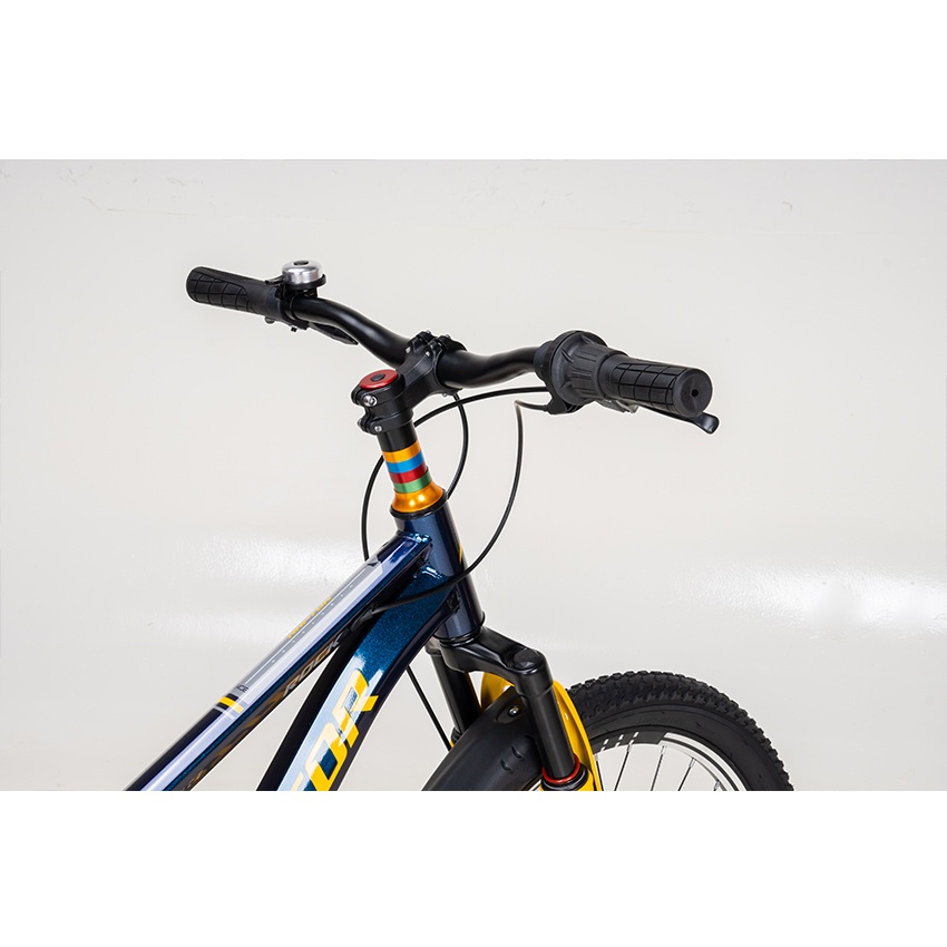 Xe Đạp Trẻ Em Youth RAPTOR Rock 2 - Bánh 20 Inch