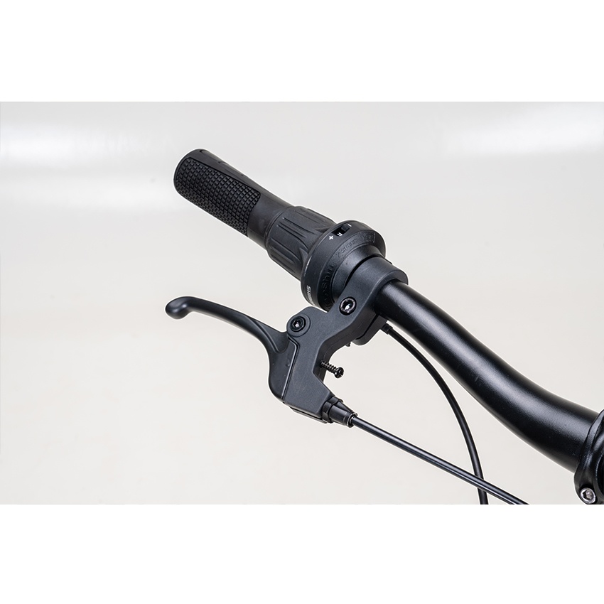 Xe Đạp Trẻ Em Youth RAPTOR Rock 2 - Bánh 20 Inch